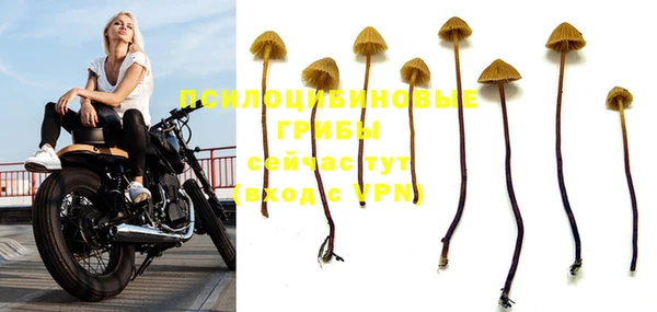 ALPHA PVP Приозерск